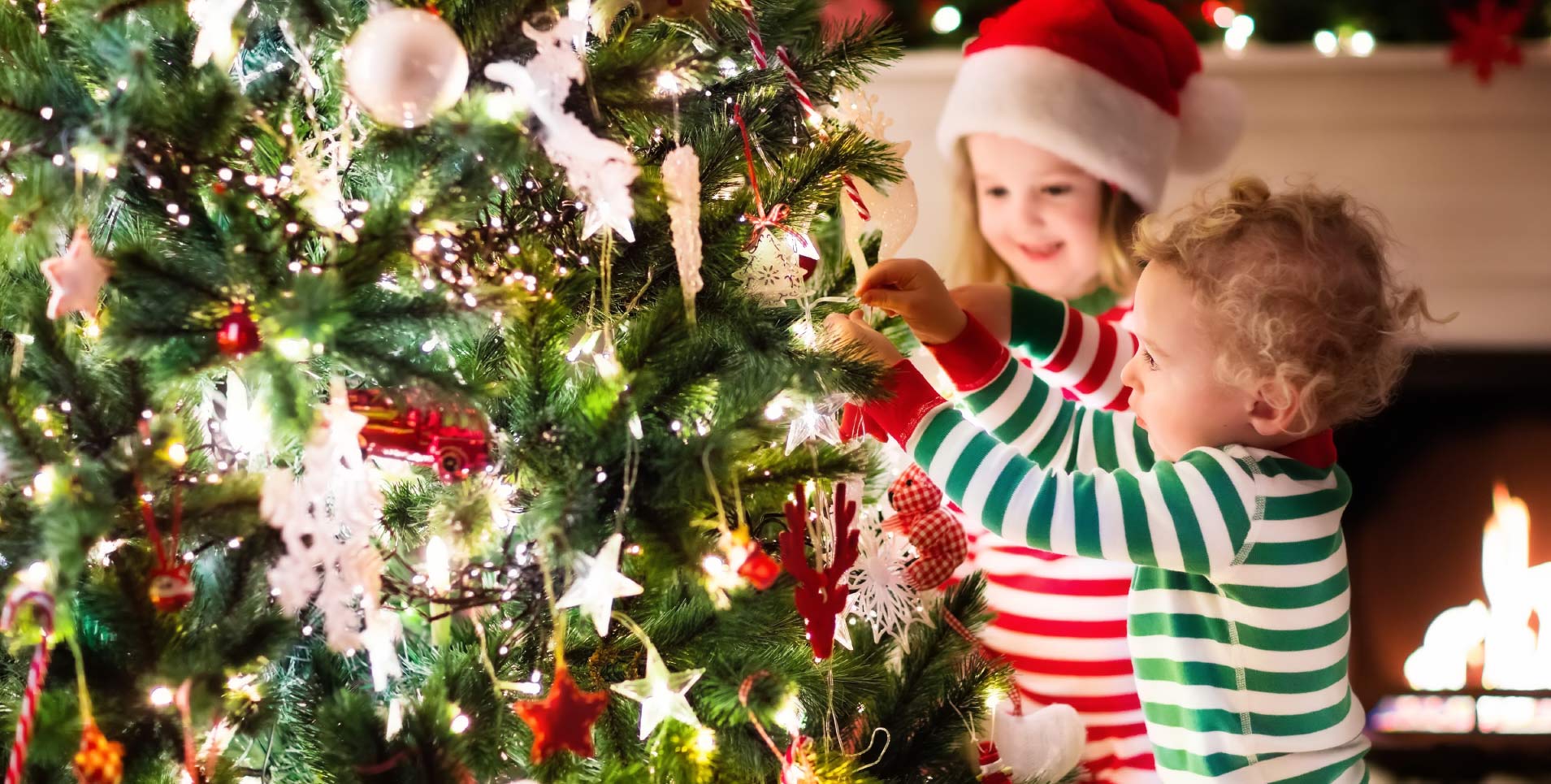 Christmas Tree Care & Decorating