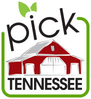 Pick Tennessee