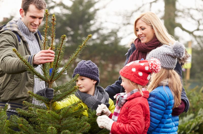 Family selecting a Christmas tree
