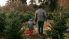 Father and son picking out a Christmas tree