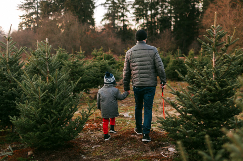 Father and son picking out a Christmas tree