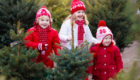 Kids at Tennessee Christmas Tree Farm