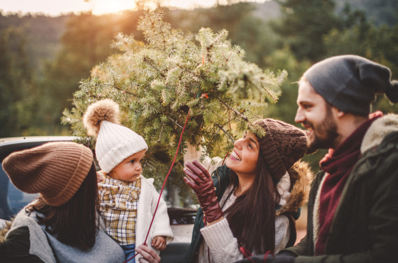 Tennessee Christmas Tree Growers – Christmas Tree Farms In Tennessee